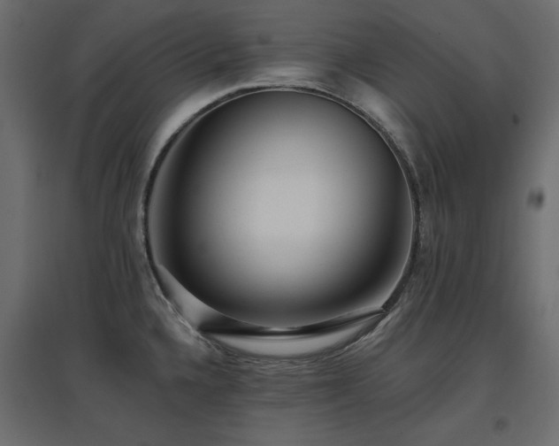 X0000097771336200803071309