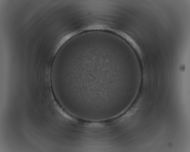 X0000097771337200803071309