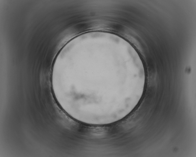 X0000097771338200803071309