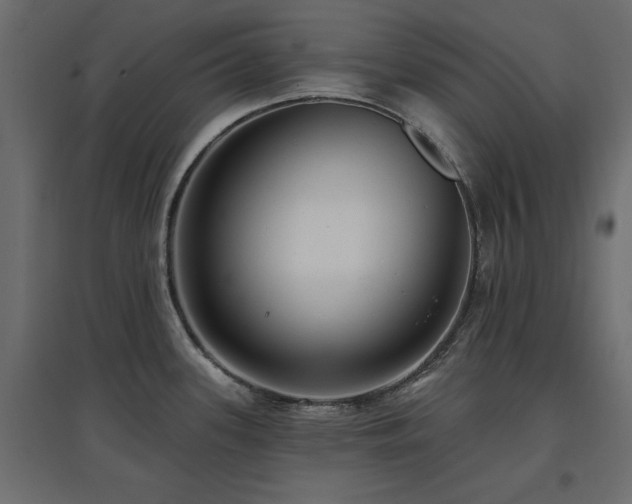 X0000097771339200803071309