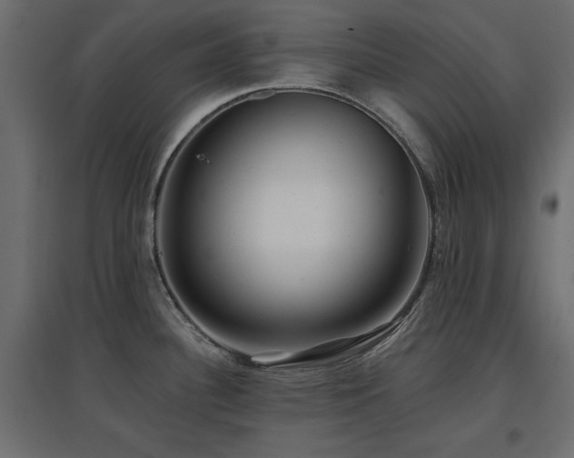 X0000097771340200803071309