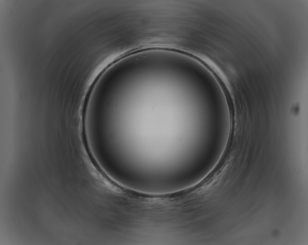 X0000097771341200803071309