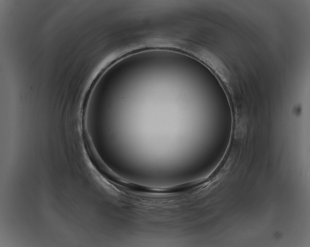X0000097771342200803071309