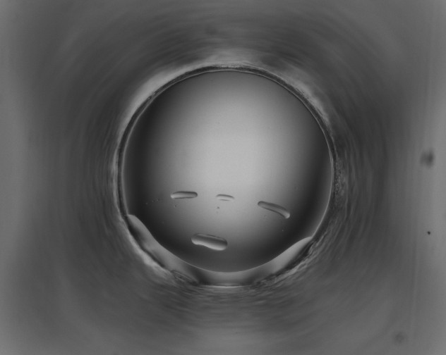 X0000097771343200803071309