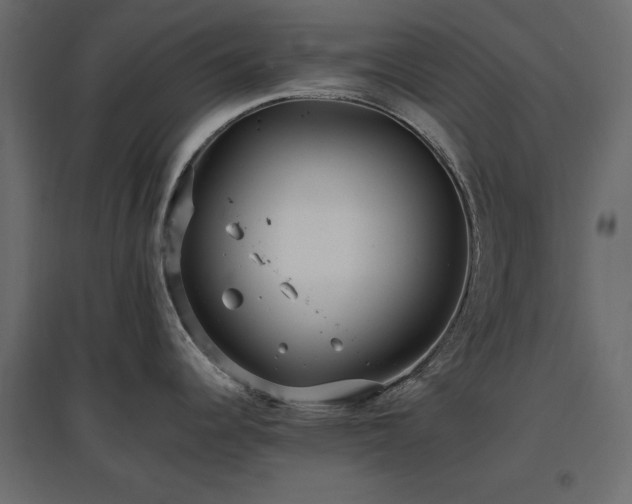 X0000097771344200803071309