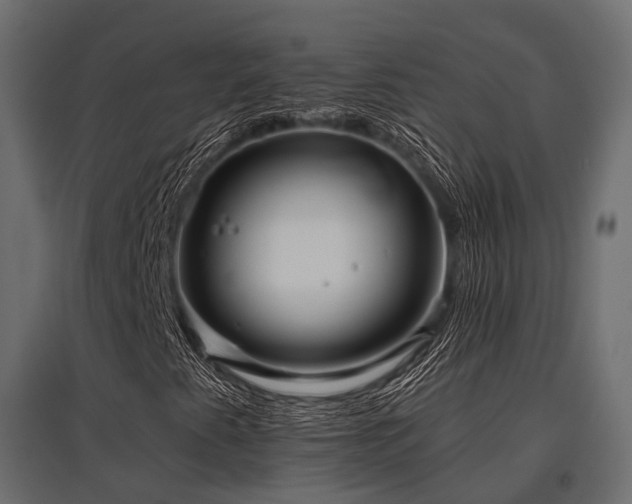 X0000097771345200803071308