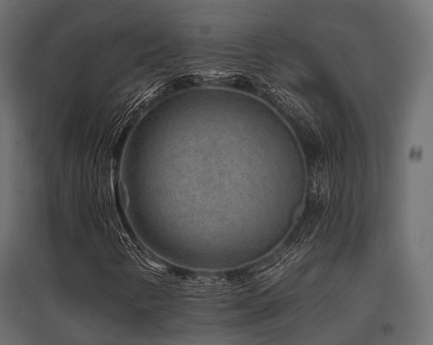 X0000097771346200803071308