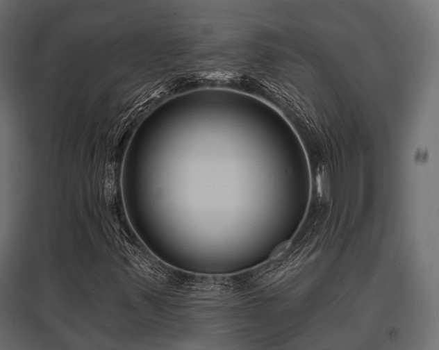 X0000097771347200803071308