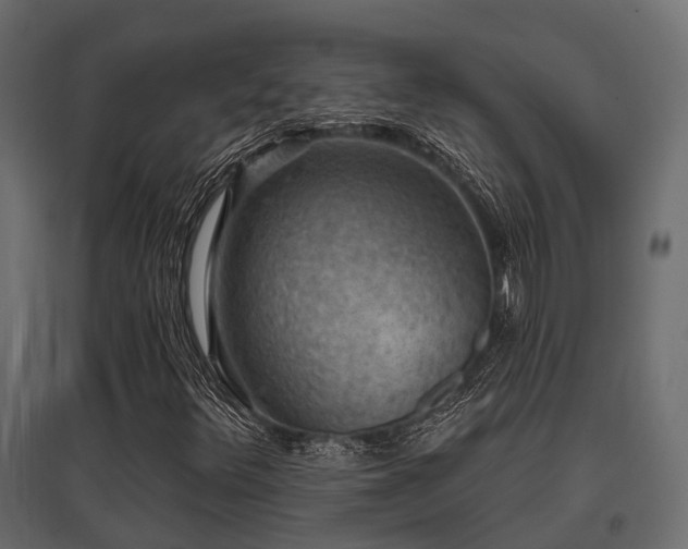 X0000097771348200803071308