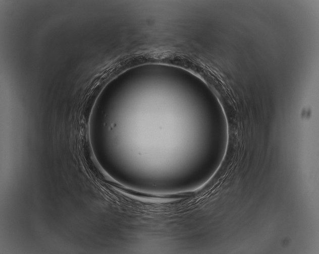 X0000097771349200803071308