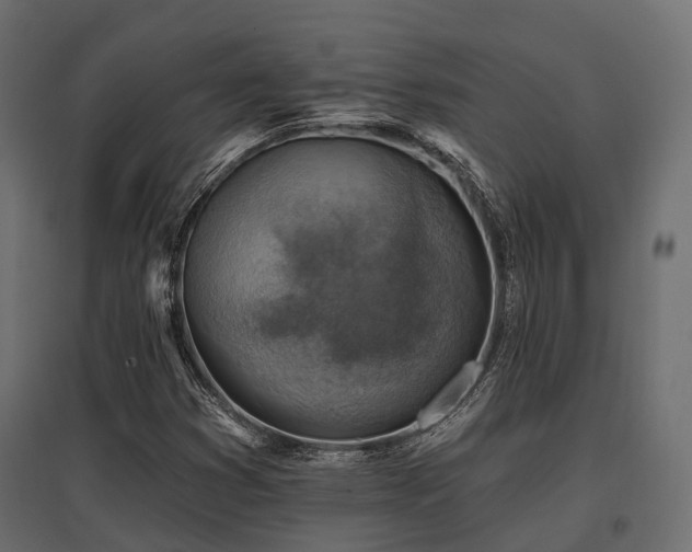 X0000097771353200803071308