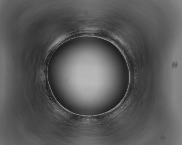 X0000097771354200803071308