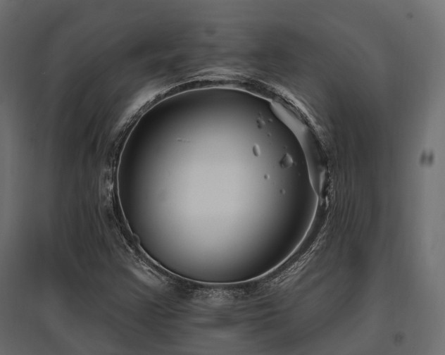X0000097771355200803071308
