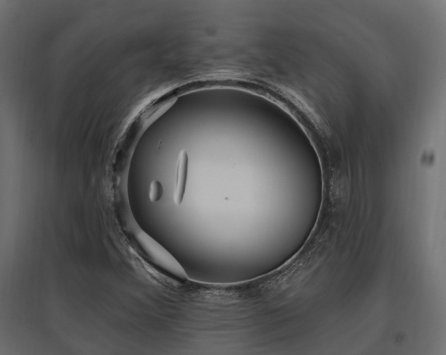 X0000097771356200803071308