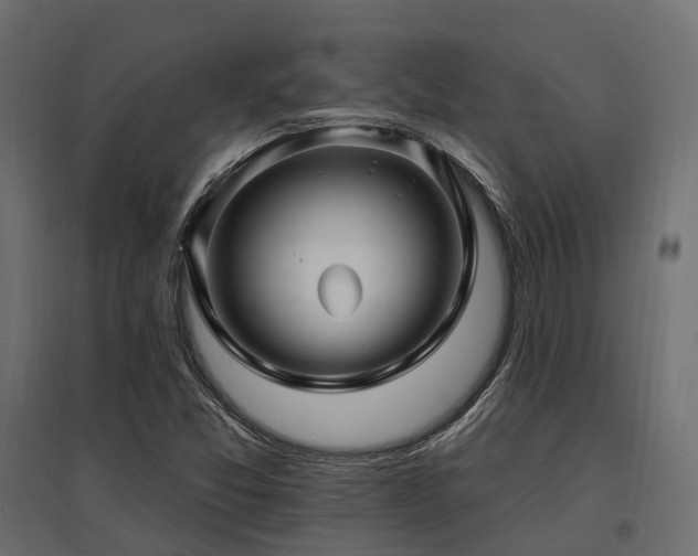 X0000097771357200803071308