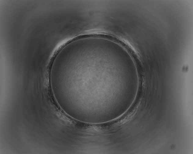 X0000097771358200803071308