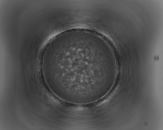X0000097771359200803071308