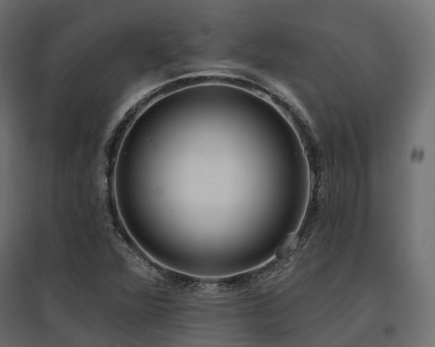 X0000097771360200803071308