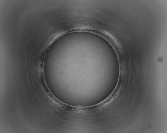 X0000097771361200803071308