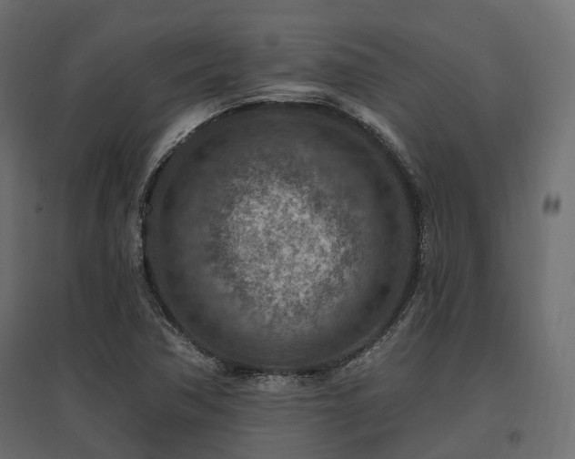 X0000097771362200803071308