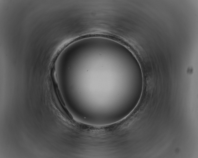 X0000097771363200803071308