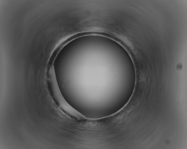 X0000097771364200803071308