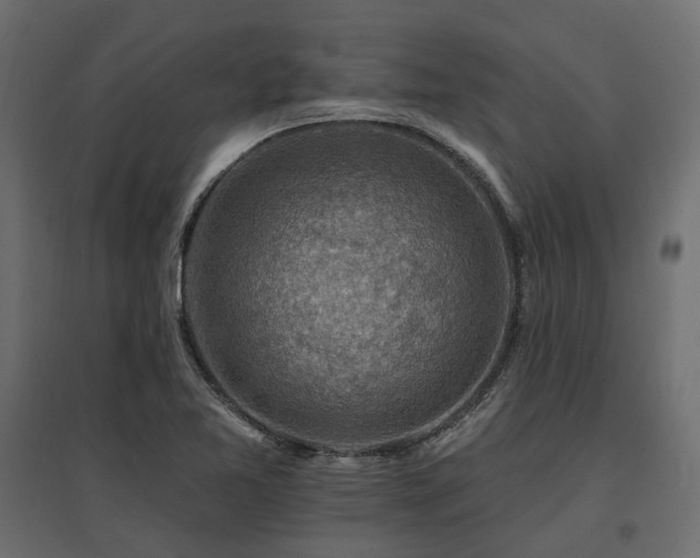 X0000097771365200803071308