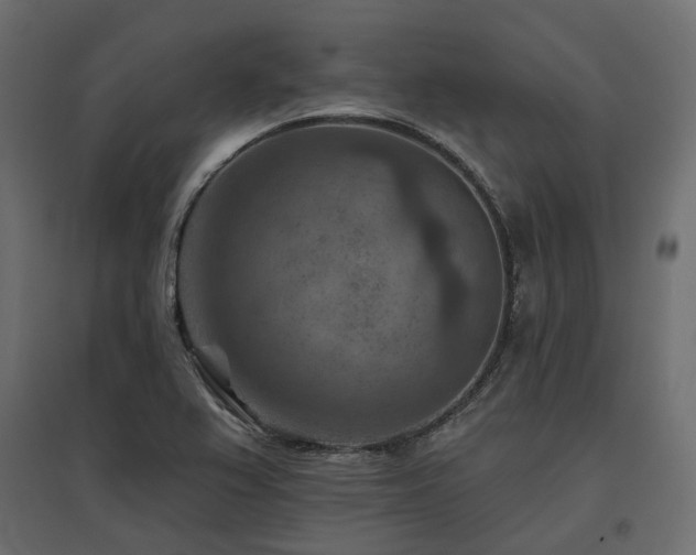 X0000097771367200803071308
