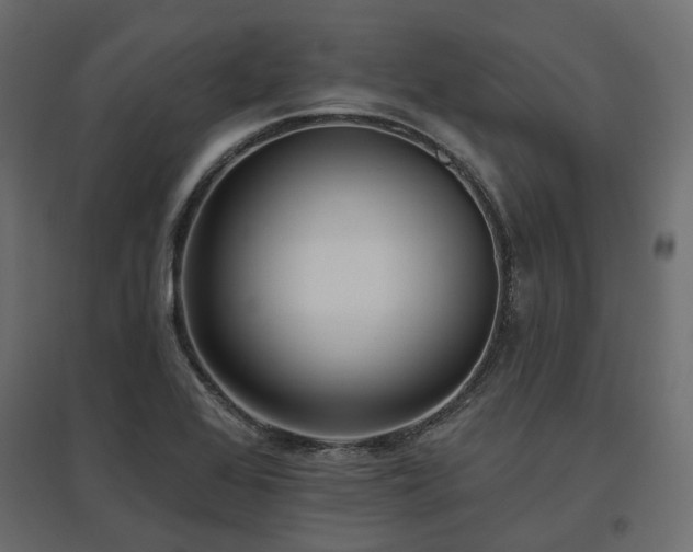 X0000097771368200803071308