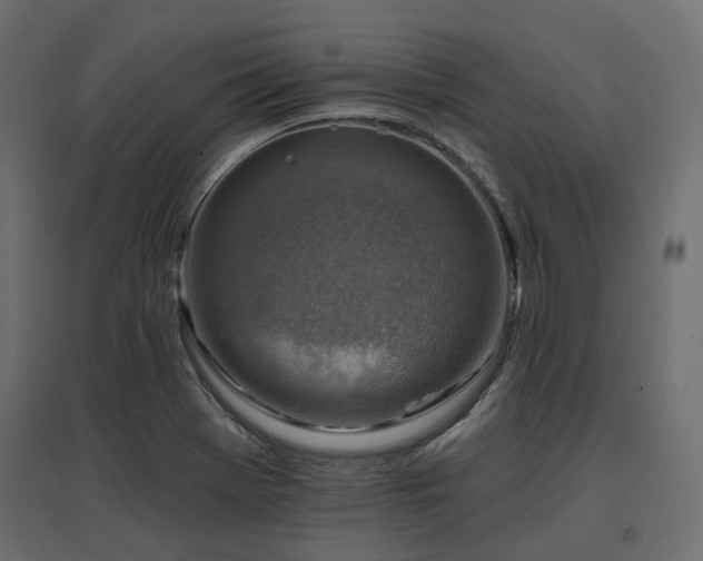 X0000097771369200803071308