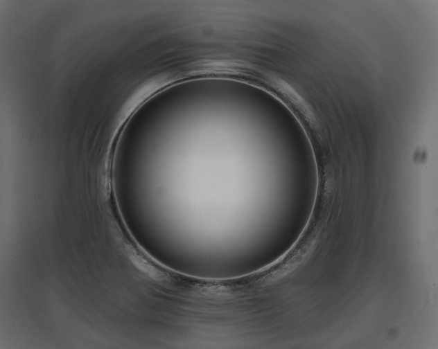 X0000097771370200803071308