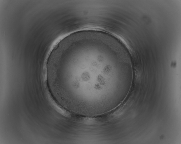X0000097771371200803071307