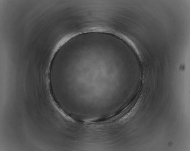 X0000097771373200803071307