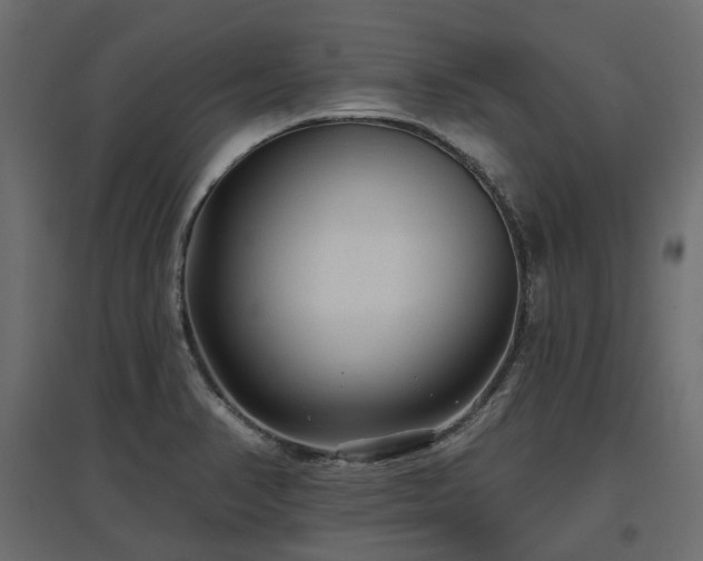 X0000097771374200803071307
