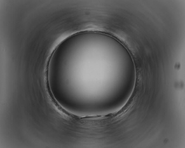 X0000097771375200803071307