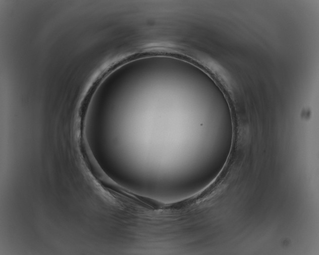 X0000097771376200803071307