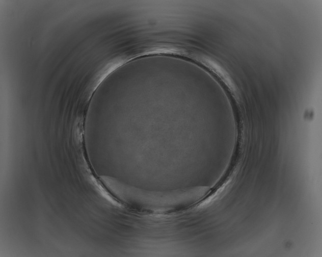 X0000097771377200803071307
