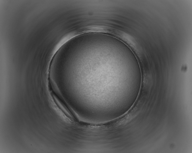 X0000097771378200803071307