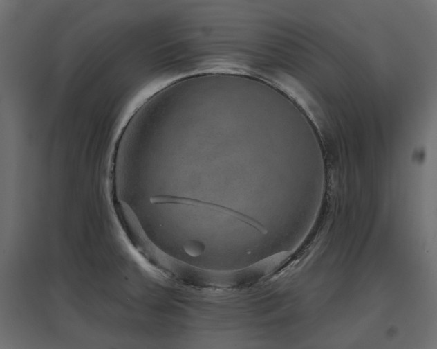 X0000097771379200803071307