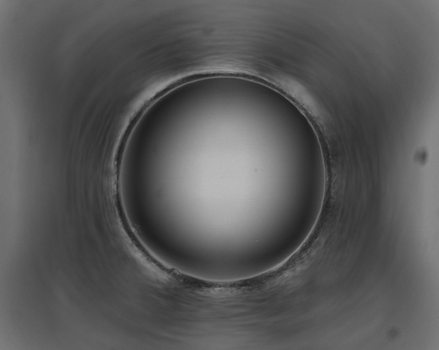 X0000097771380200803071307