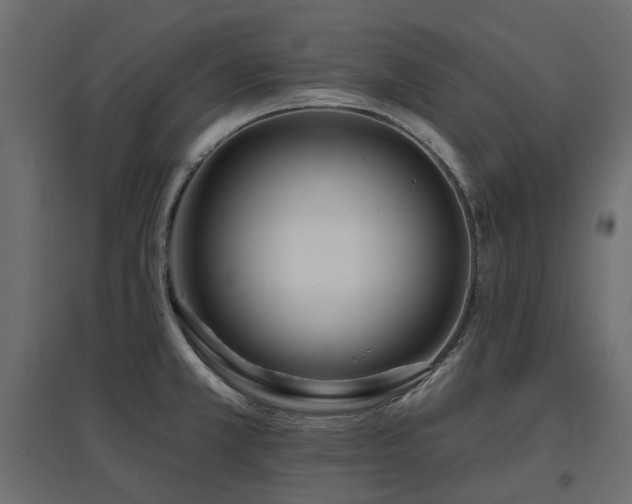 X0000097771381200803071307