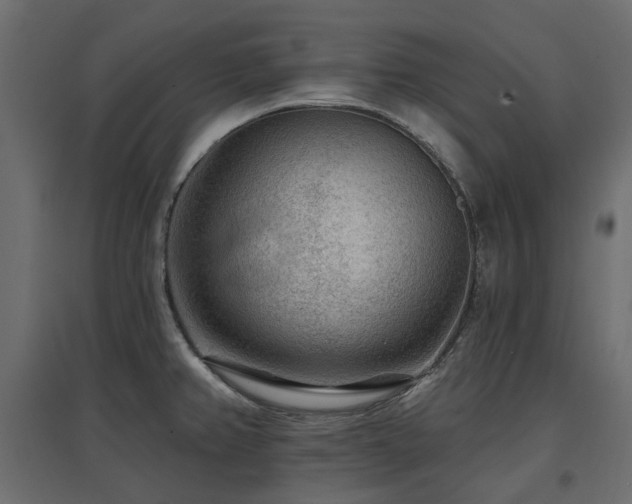 X0000097771382200803071307