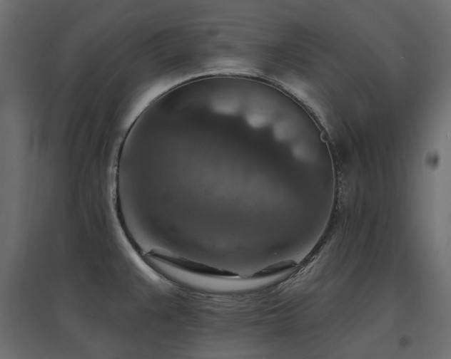 X0000097771383200803071307