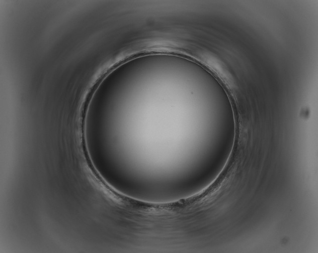 X0000097771384200803071307