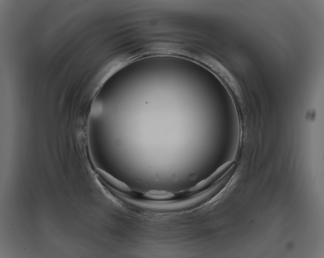 X0000097771385200803071307