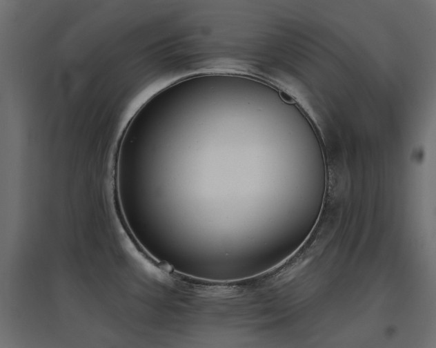 X0000097771387200803071307