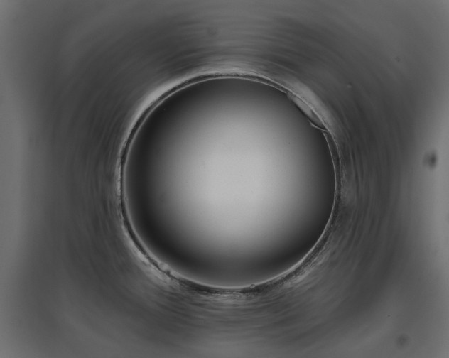 X0000097771388200803071307