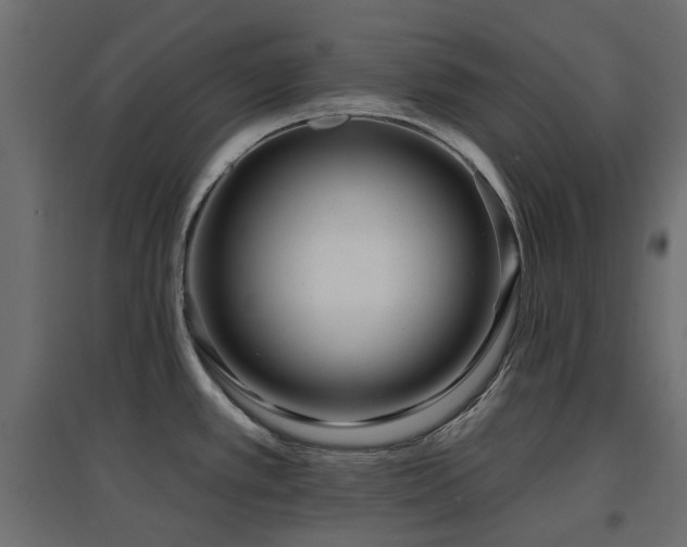 X0000097771389200803071307