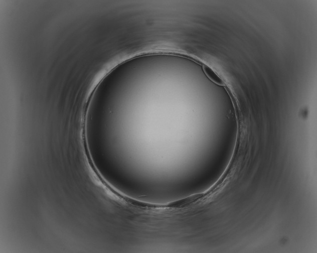 X0000097771390200803071307