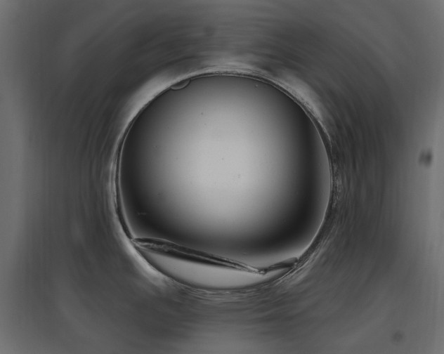 X0000097771391200803071307